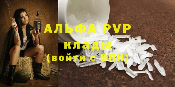 трава Аркадак