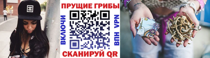Галлюциногенные грибы прущие грибы Купить закладки Знаменск