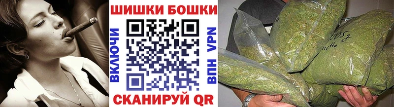 Купить закладки  Знаменск  Бошки Шишки SATIVA & INDICA 